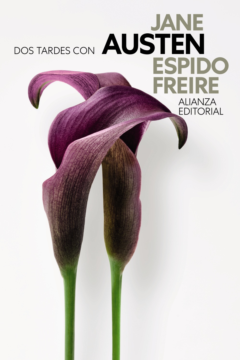 Jane Austen: Sereno encantamiento