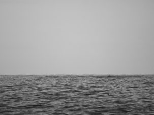 La semana en Zenda, en 10 tuits