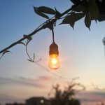 La semana en Zenda, en 10 tuits