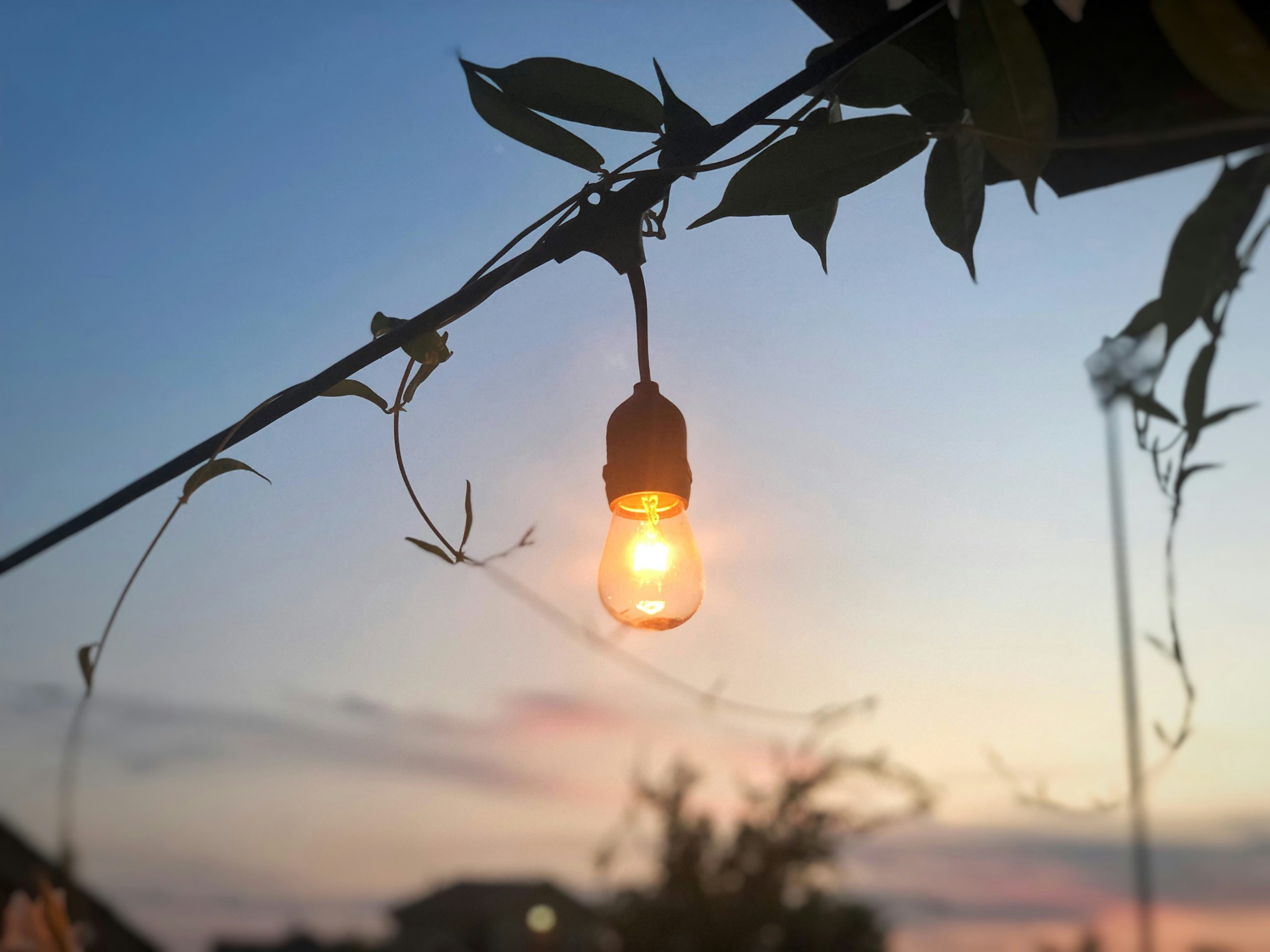 La semana en Zenda, en 10 tuits