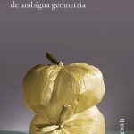 3 poemas de Rincones de ambigua geometría, de Ignacio Vleming