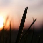 El año no empieza en enero