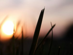 El año no empieza en enero