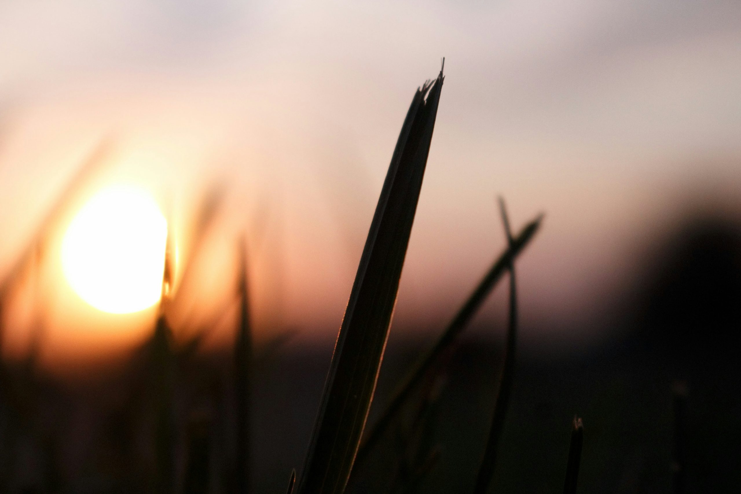 El año no empieza en enero