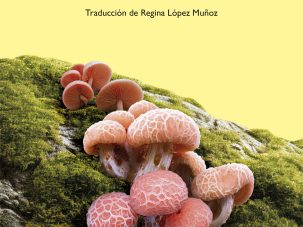 Zenda recomienda: La extinción de Irena Rey, de Jennifer Croft