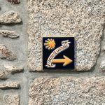 Los bosques se revelan