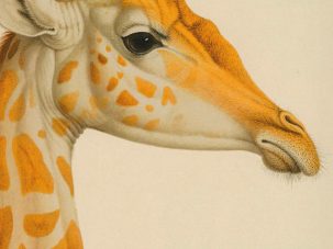 Zenda recomienda: Música acuática, de T. C. Boyle