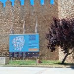 El camino de los libros