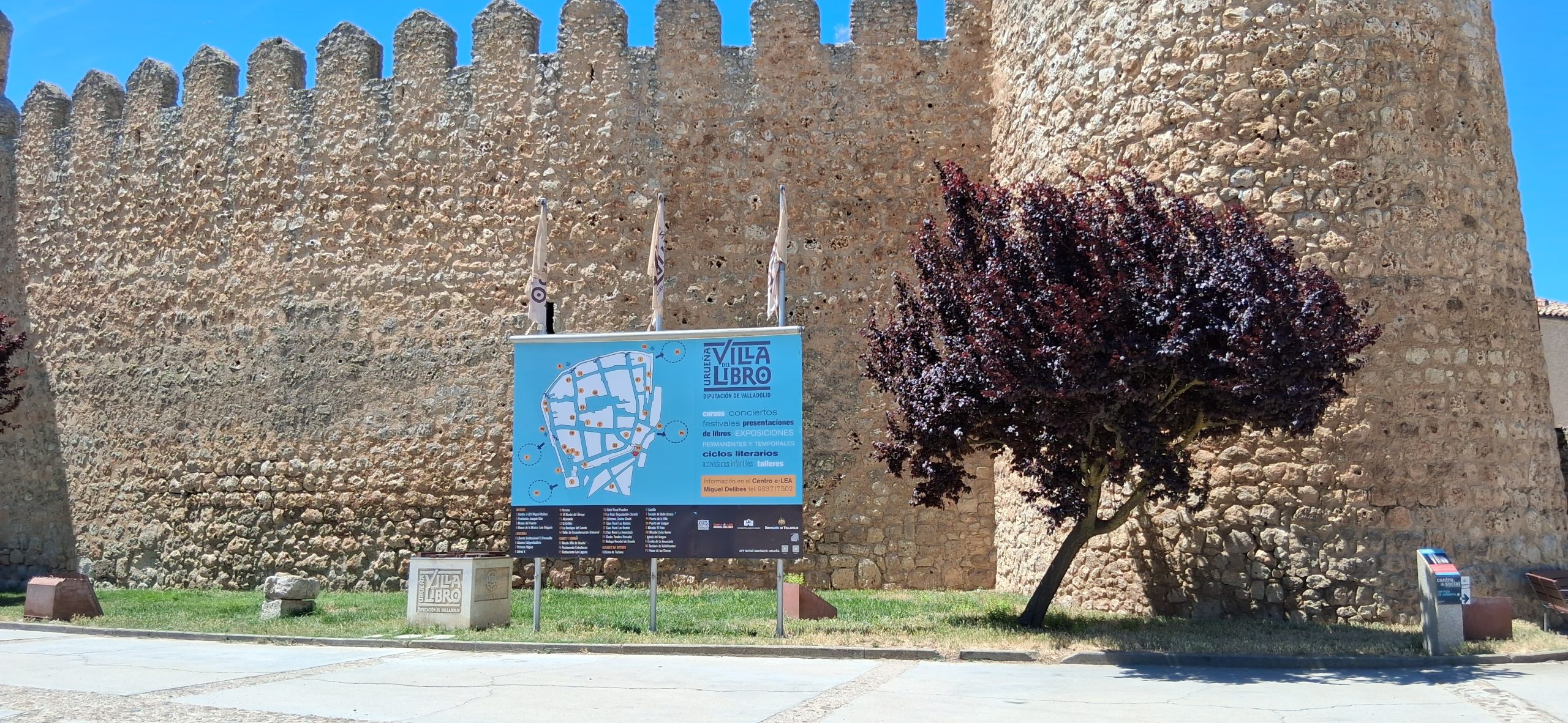 El camino de los libros