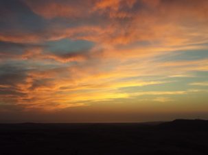 La semana en Zenda, en 10 tuits