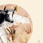 5 poemas de Amarilis, de Natalia Litvinova