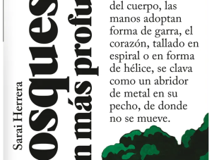 El corazón oscuro de un bosque