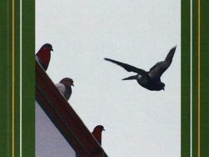 Tresguerres, milicia, infamia y redención