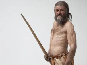 Ötzi, guapetón