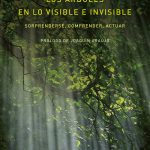 La frágil persistencia de lo druídico