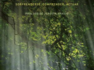 La frágil persistencia de lo druídico