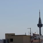 Vista parcial de Paniceiros