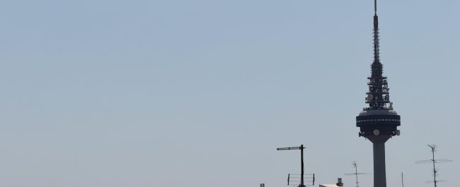 Vista parcial de Paniceiros