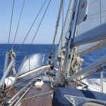 50 tuiteos sobre literatura (202)