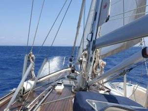 50 tuiteos sobre literatura (202)