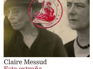 Esta extraña y azarosa historia, de Claire Messud