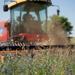 La segadora del tiempo