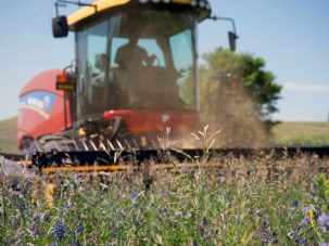 La segadora del tiempo