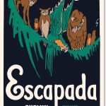 Articuladas inarticulaciones de Evelyn Scott