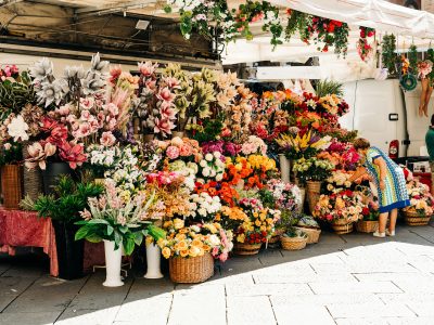La semana en Zenda, en 10 tuits