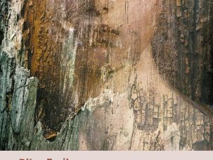 Los peligros de la vida normal