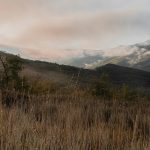 La semana en Zenda, en 10 tuits