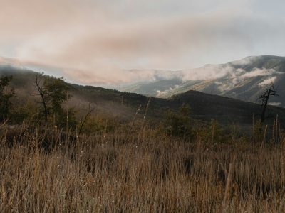 La semana en Zenda, en 10 tuits