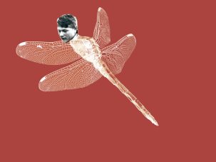 Sé morir, de Elena Mesa