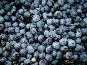 La memoria es un zumo de arándanos