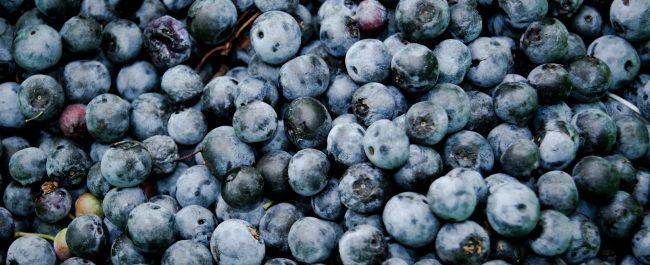 La memoria es un zumo de arándanos