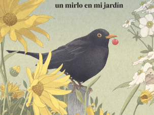 Zenda recomienda: Tino, un mirlo en mi jardín, de Nicolas Jolivot