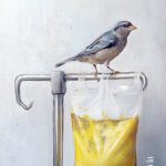 4 poemas de Amarilla, de Marta Sanz