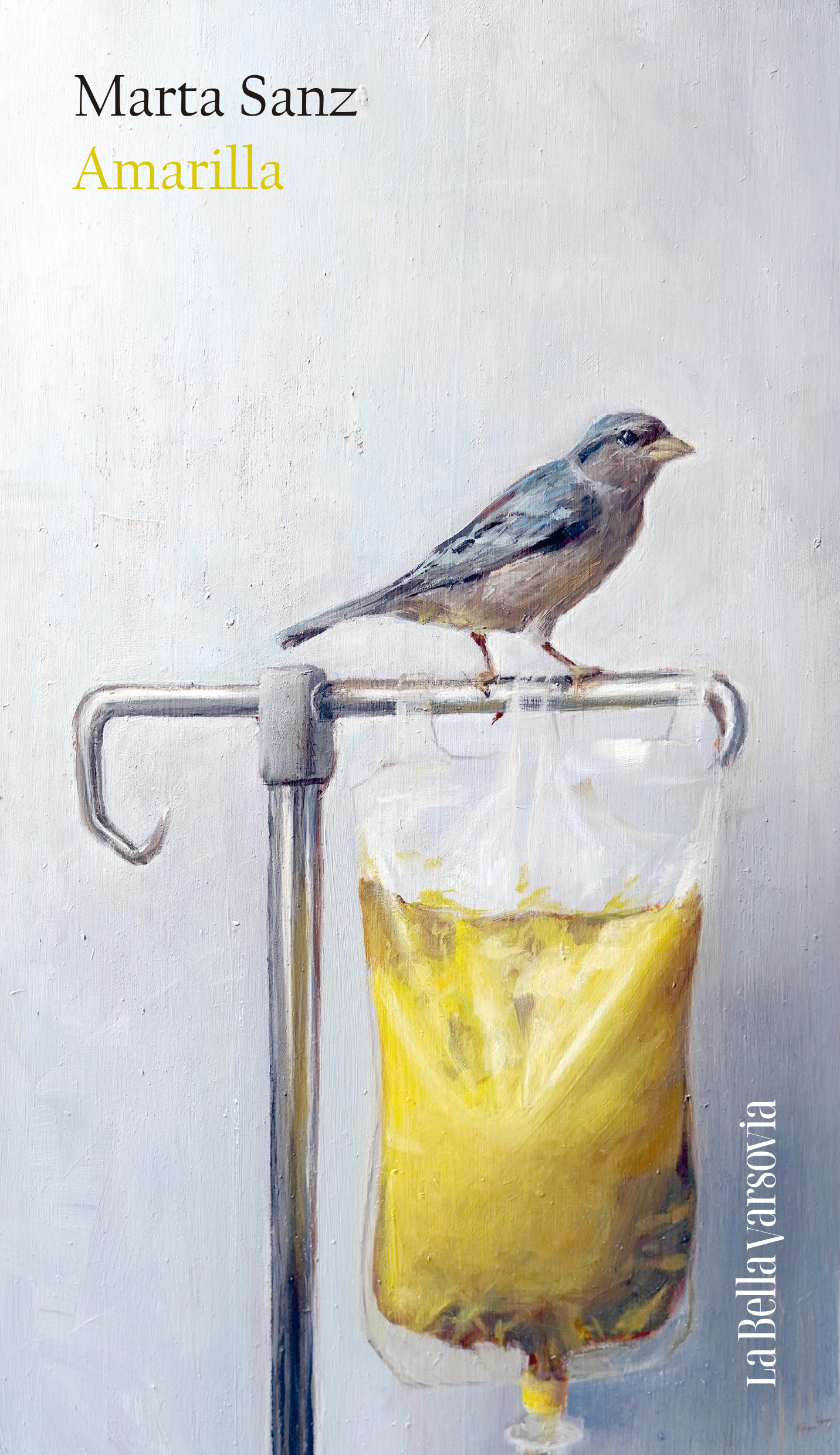 4 poemas de Amarilla, de Marta Sanz
