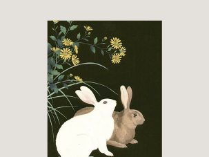 De conejos, líderes y dudas