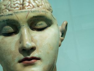 La neuroliteratura no basta: por una literatura indómita