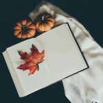 La semana en Zenda, en 10 tuits