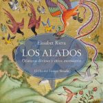 No se puede volar sin alas
