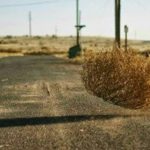 Matojos inquietantes