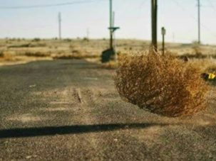 Matojos inquietantes