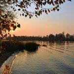 La semana en Zenda, en 10 tuits