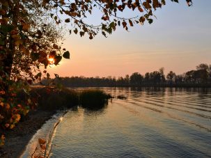 La semana en Zenda, en 10 tuits