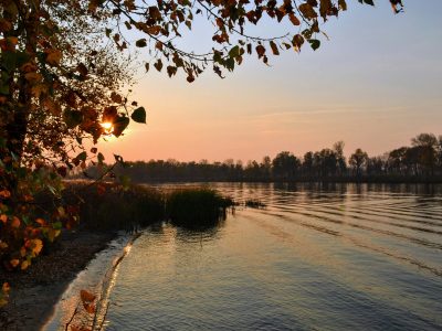 La semana en Zenda, en 10 tuits