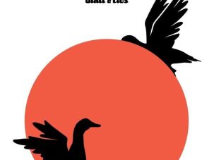 Zenda recomienda: Las ocas, de Álvaro Cruzado