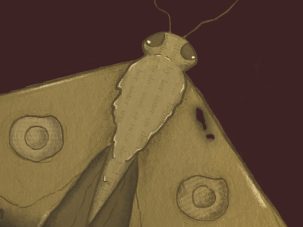 Zenda recomienda: Infundio (cuentos del Coco), de Marta Boronat Redondo