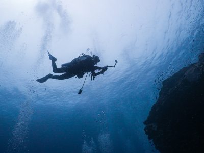 De azul oscuro y amarga verdad